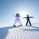 فندق Skistar 4*