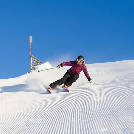Skistar فندق