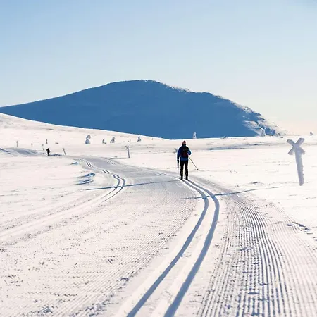 Skistar تريسيل